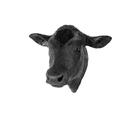 Market Steer Captive Bolt Gun