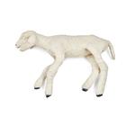 Southdown Large Lamb