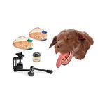 Canine Dental Technician Base Model, Brown