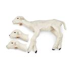 Non-Penetrating Lamb 4 kg