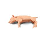 Non-Penetrating Small Piglet 3kg
