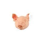 Non-Penetrating Medium Piglet 6kg Head
