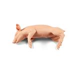 Non-Penetrating Large Piglet 9kg