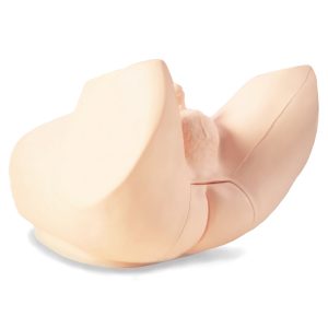 M53B  Prostate Examination Simulator