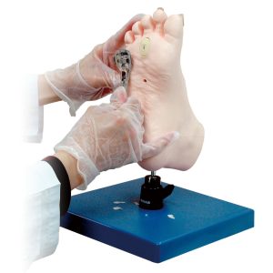 M66  Medical Foot Care Simulator