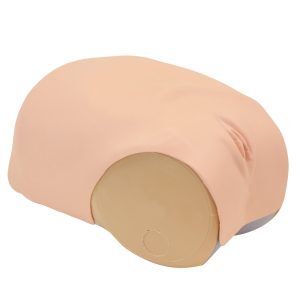 MW38  Uterine Involution Assessment Simulator