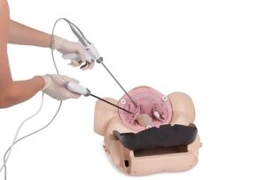 Surgical Female Pelvic Trainer (SFPT) Mk 2