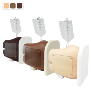 M43B-B  Lumbar Puncture Simulator IIA