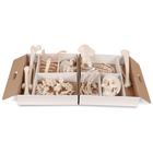 Disarticulated Half Human Skeleton Model, Wire Mounted Hand & Foot