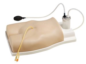Suprapubic Training Model, Light