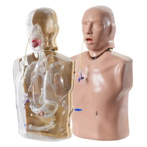 Nasogastric/Nasojejunal Feeding Trainer -CorMan® - Adult - Light