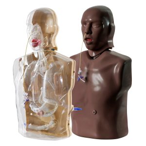 Nasogastric/Nasojejunal Feeding Trainer - CorMan® - Adult - Dark