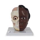 Head Model, 2-part dark skin