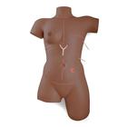 Trainer for Wound Care and Bandaging Techniques