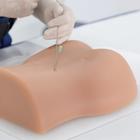 Image Guided Lumbar Spinal Injection Trainer
