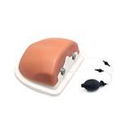Image Guided Thoracic Spinal Injection Trainer