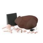 Gynecologic Skills Trainer