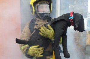 Dog / Canine Training Manikin