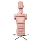 MRI Torso Model with 15 Transverse Sections