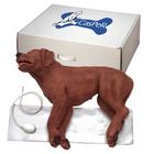 CasPeR the CPR Dog