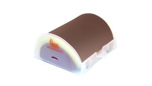 Vaccine IM Injection Trainer (Pack of 10)