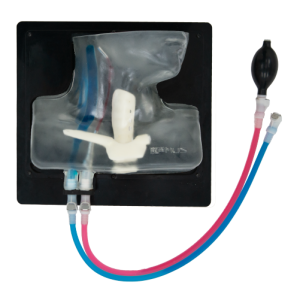 Internal Jugular Vein Puncture Ultrasound Model (Transparent, Hand pump) MU-E-IJV-MHT