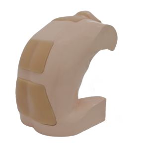 Intraspinal Anesthesia Ultrasound Model (Skin tone) MU-E-ISA-MNS