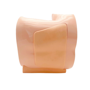 Lumbar Puncture Ultrasound Model (Skin tone) MU-E-ISA01-MNS