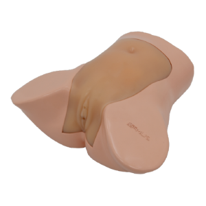 Uterine Tumor Puncture And Ablation Ultrasound Model (Skin tone) MU-E-UTERUS01-MNS