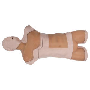 Integrated Anesthesia Ultrasound Simulator (Skin tone, Auto pump) MU-E-ANA-MAS