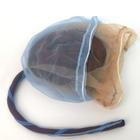 Placenta/Cord/Amnion/Chorion Model