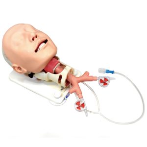 MW14  Diﬃcult Airway Management Simulator -Demonstration Model-