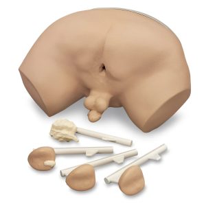 Prostate Examination Simulator - Life/form