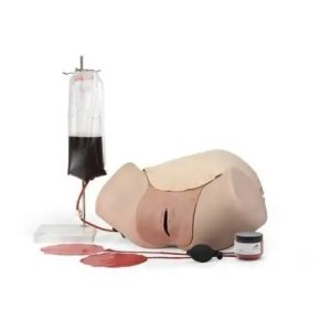 Postpartum Hemorrhage Trainer - Basic