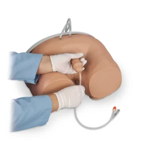 Male Catheterization Simulator