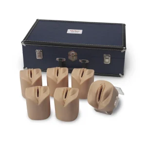 Cervical Dilatation and Effacement Simulators