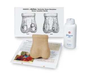 Testicular Exam Simulator