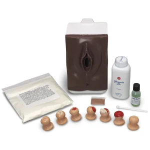 Cervical Exam and Pap Smear Test Trainer - Dark