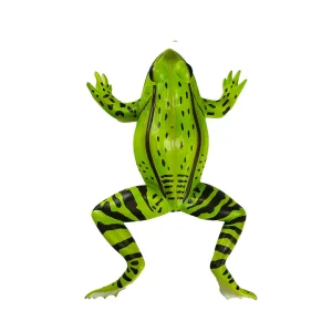 SKU: MG20126  Frog Model, 3X Enlarged, 5-Parts
