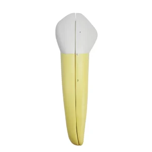 SKU: MG21502  Lower Canine Tooth Model, 2-Parts