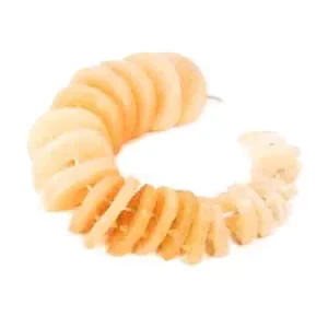 SKU: MG22701  Intervertebral Discs, 23 Piece