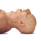 Lifecast Senior (Pete Post-COVID)