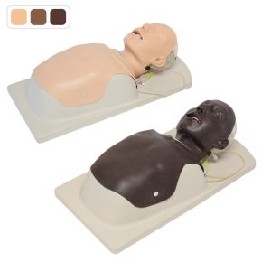 MW13  Diﬃcult Airway Management Simulator -Training Model