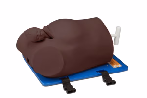 New Product Improved AR68/50 Debra Enhanced® - Impacted Fetal Head Simulator, Dark