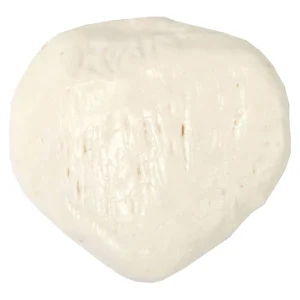 SKU: MG31058  Patella Model, Male