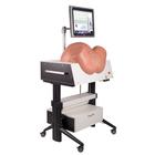 NEW SIMone Birthing Simulator
