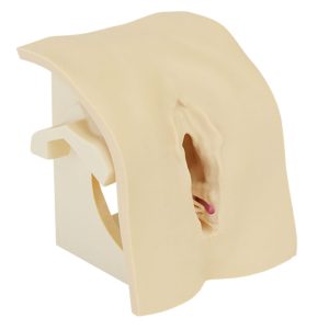 OASIS Perineorrhaphy Simulator -4th degree - MW81