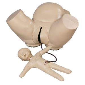 AR50S Obstetric Phantom With Fetal Doll, Light