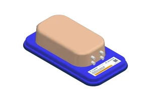 ARB203 Ultrasound Simulator with 2 Femoral Access Routes, Light