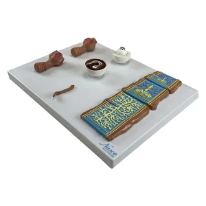 SKU: MG13915  Taenia Saginata and Taenia Solium Comparison Model